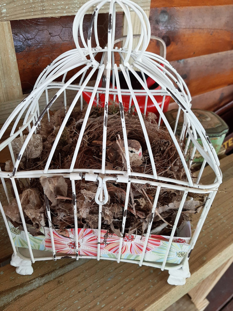 Meet the Vendor: Judy Eberline - The Hill Antique Market