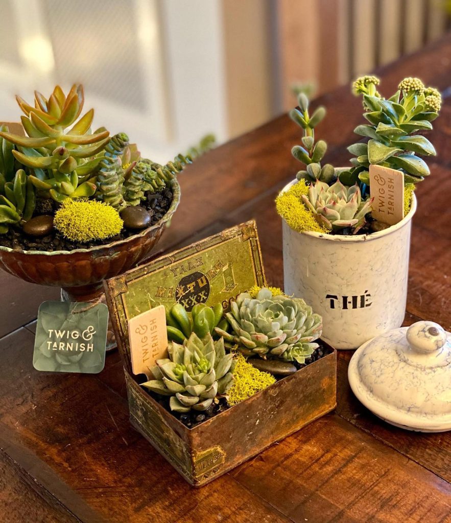 Meet the Vendor: Dana Muhlke - The Hill Antique Market